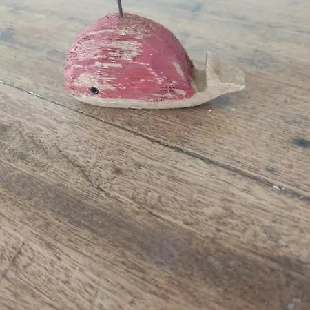 Appt Bord De /rez De Jardin アパート *