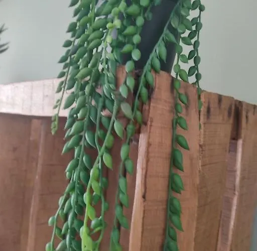 Appt Bord De /rez De Jardin * ノートル・ダム・ド・モン