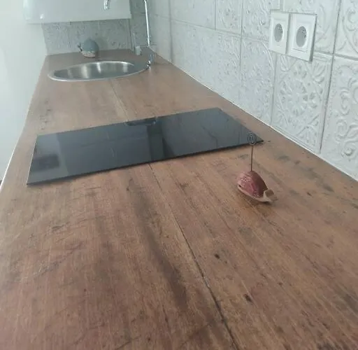 Appt Bord De /rez De Jardin アパート ノートル・ダム・ド・モン