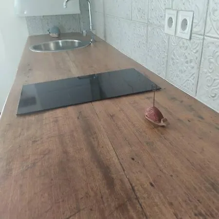 Appt Bord De /rez De Jardin Daire Notre-Dame-de-Monts